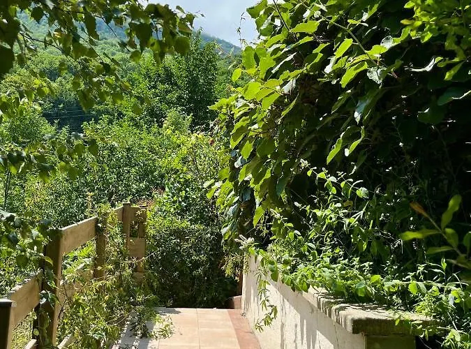 Gs4 Duplex 4 Pers Terrasse 5mn Luz 15mn Ardiden Lejlighed *